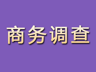 长清商务调查